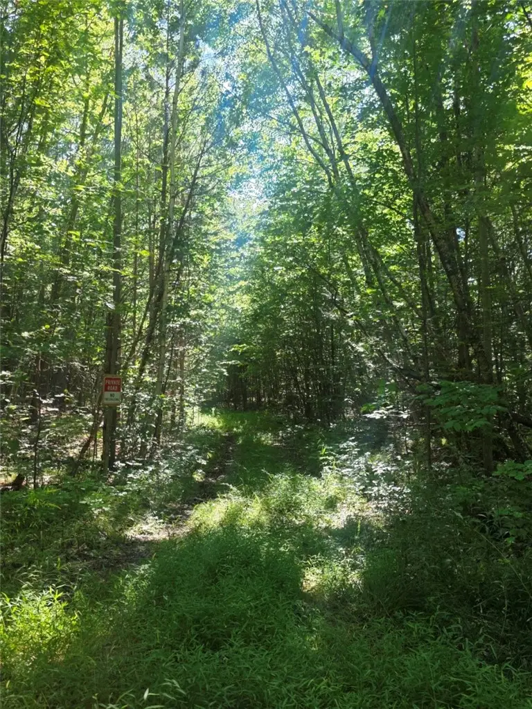 Black Ash Road, Woodhull, NY 14898 - #2