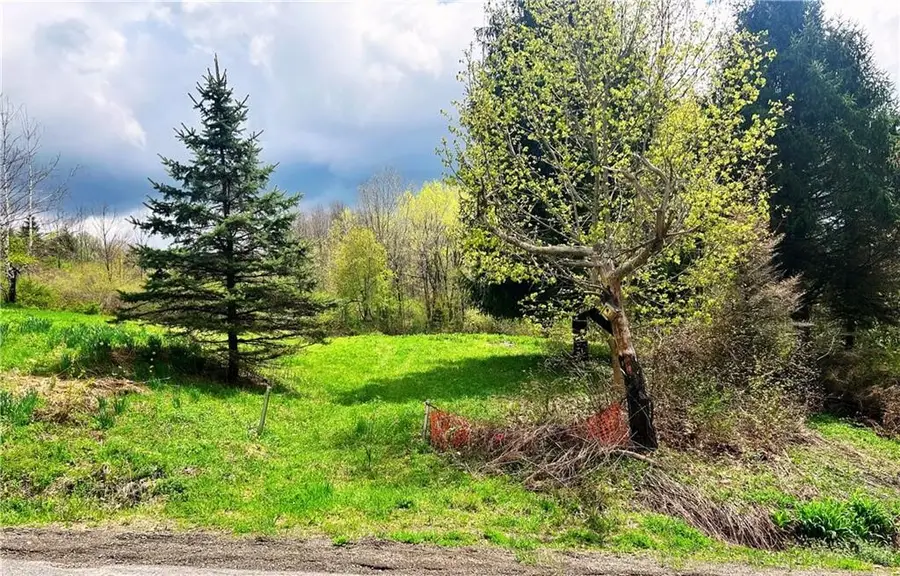 Sisson Hill Road, Unadilla, NY 13849 - #2