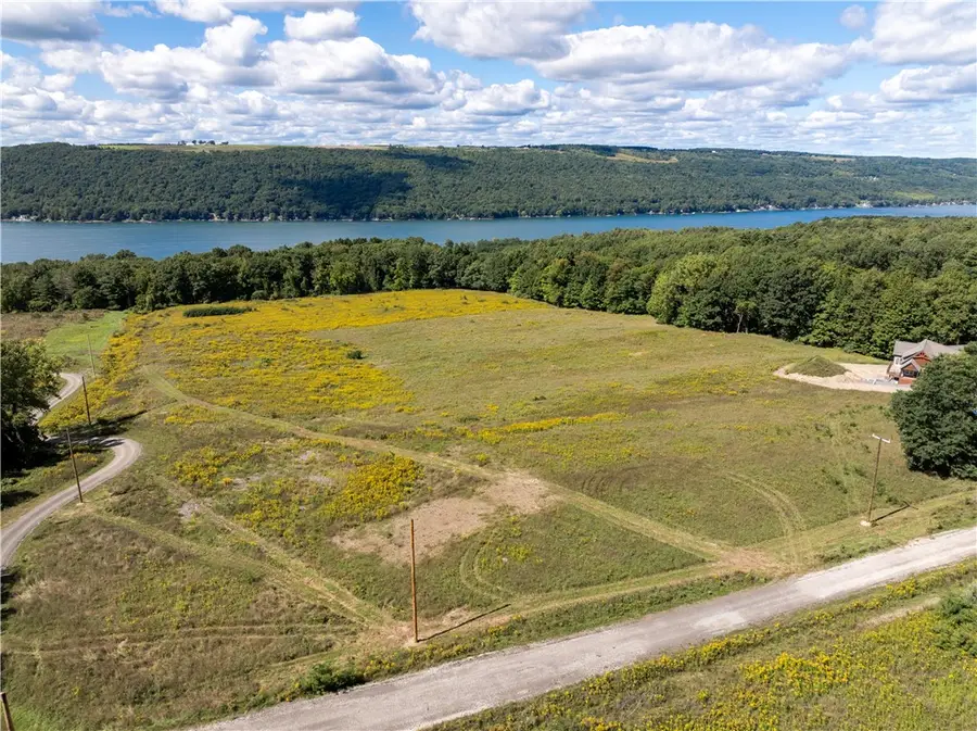 0 Dutch Street, Dundee, NY 14837 - #2