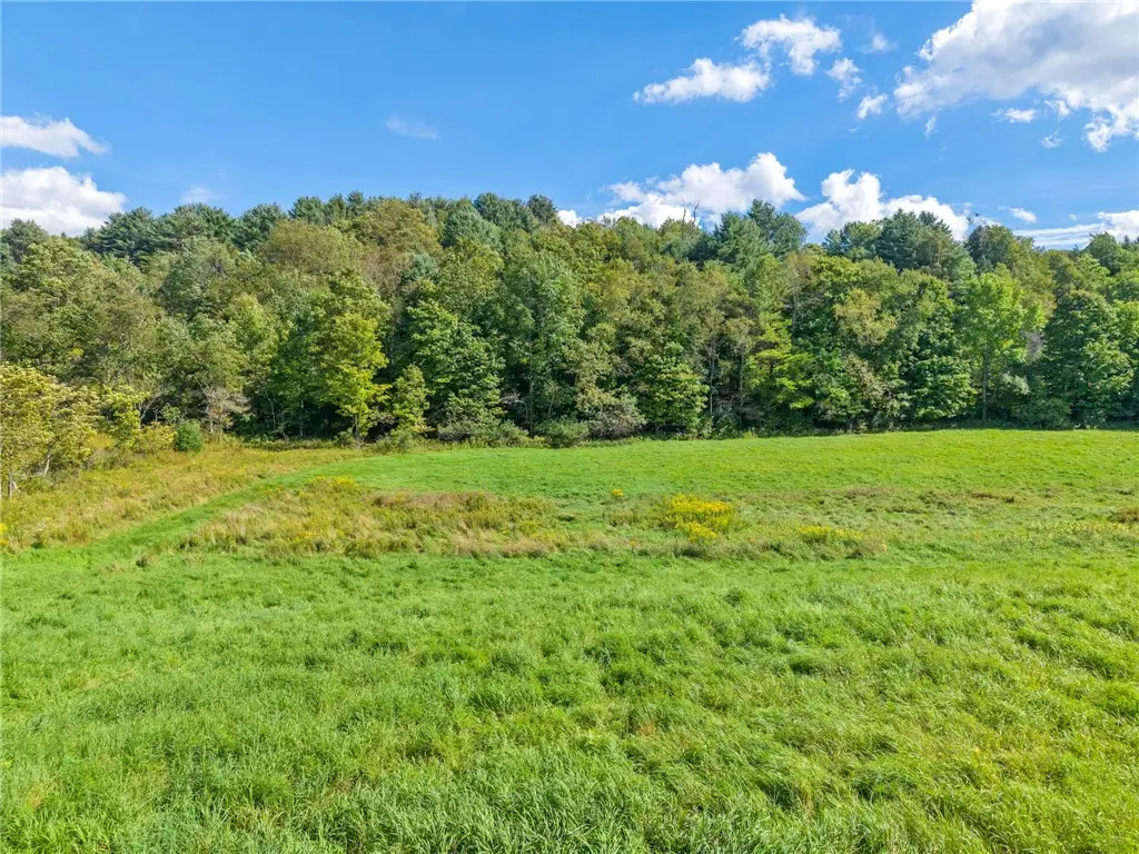 1034 Flat Creek Road, Gilboa, NY 12076 - #1