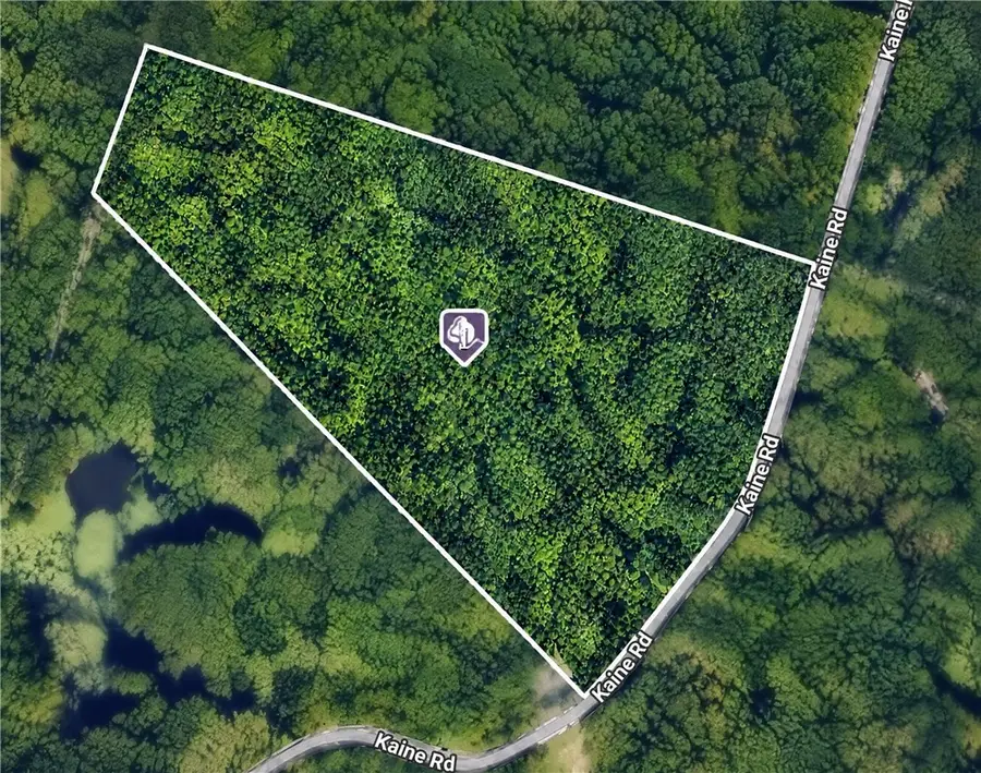 185 Kaine Road, Altmar, NY 13302 - #3