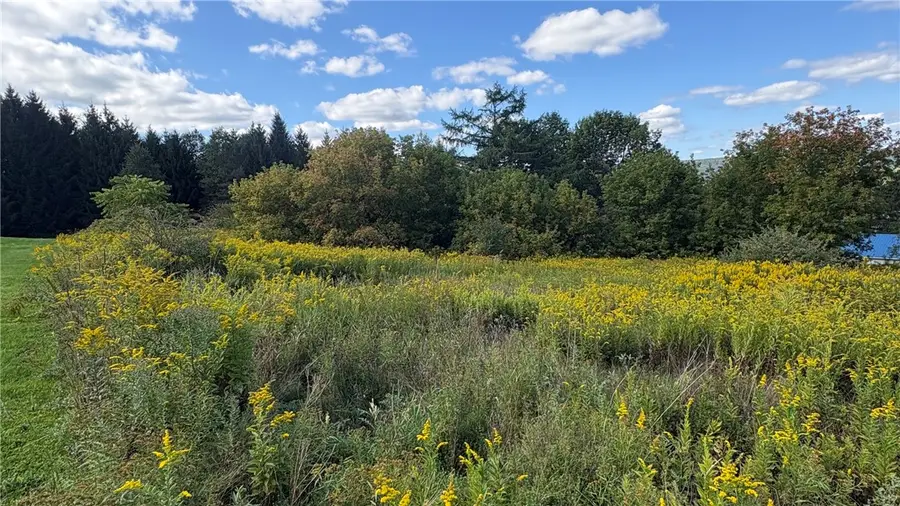 0 South Hill Road, Deruyter, NY 13052 - #3