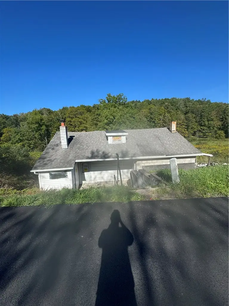 333 Mallory Road, Chemung, NY 14825 - #3
