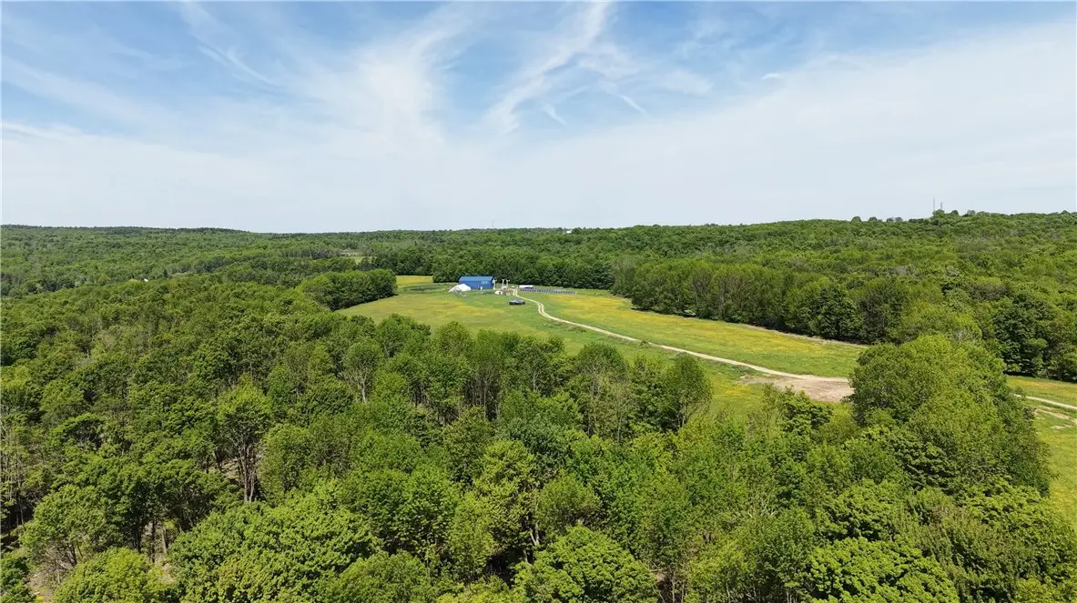 362 Brown Gale Road, McDonough, NY 13801 - #1