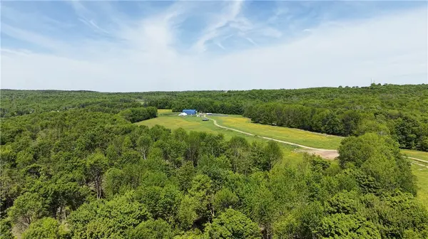 362 Brown Gale Road, Mc Donough, NY 13801