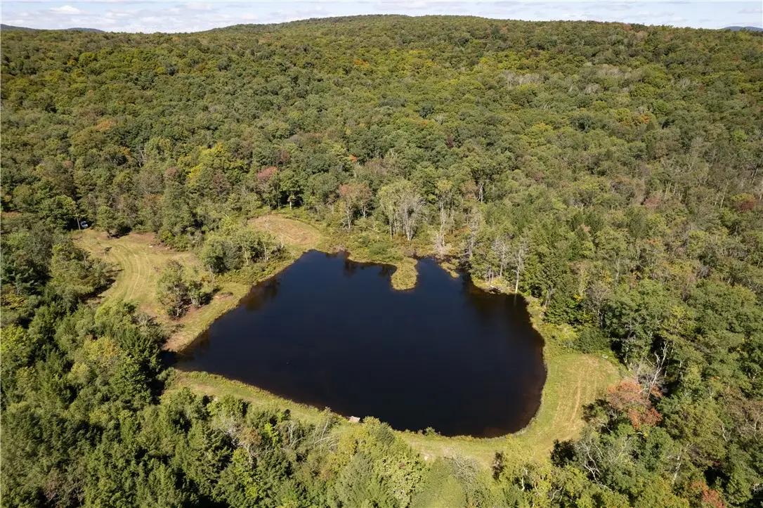 Terwilliger Road, Livingston Manor, NY 12758 - #1