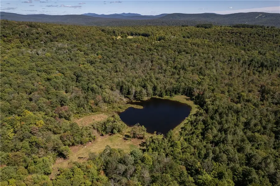 Terwilliger Road, Livingston Manor, NY 12758 - #2