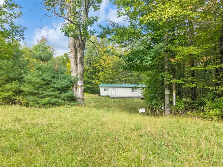 940 Davenport Road, Schenevus, NY 12116 - #2