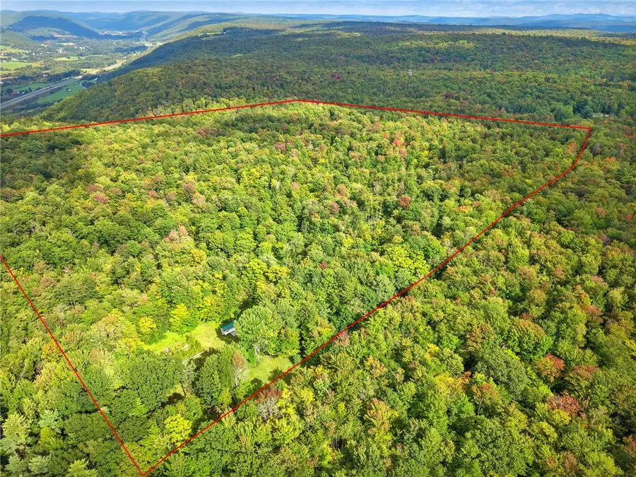 940 Davenport Road, Schenevus, NY 12116 - #3