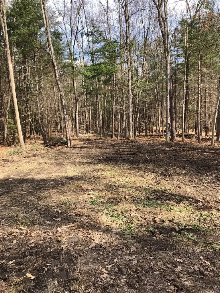 Maple Drive, Oneonta, NY 13820 - #1