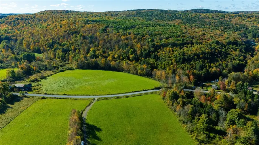 Brown Road, Oxford, NY 13830 - #3