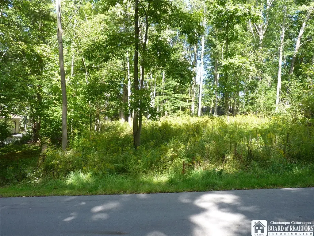 Scandia Drive N, Bemus Point, NY 14712 - #1