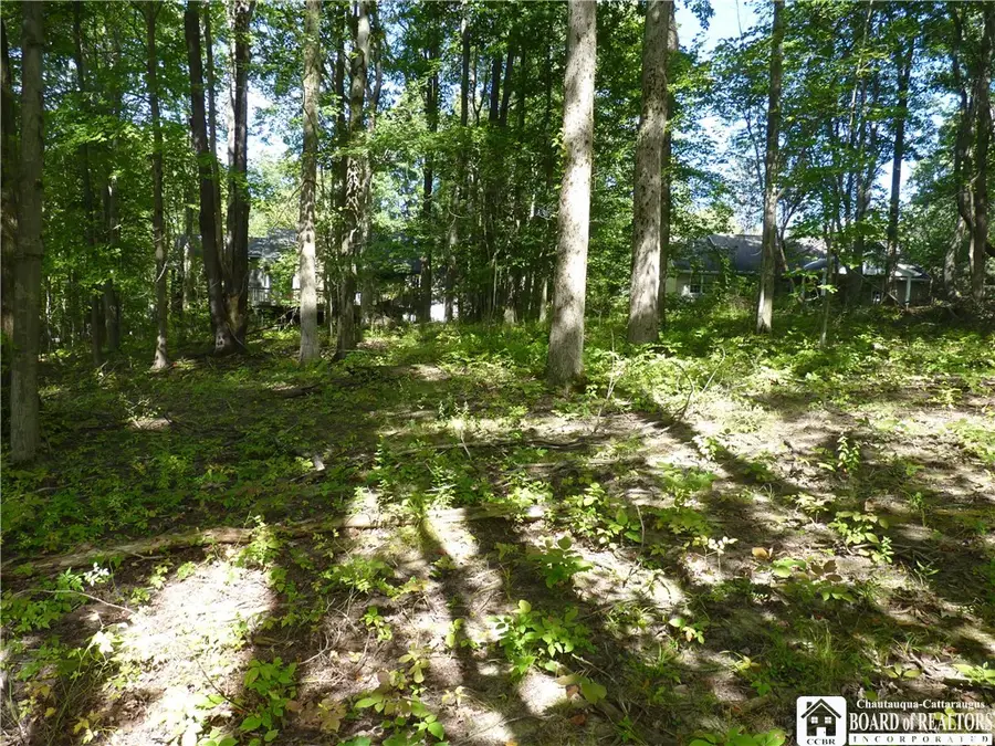 Scandia Drive N, Bemus Point, NY 14712 - #2