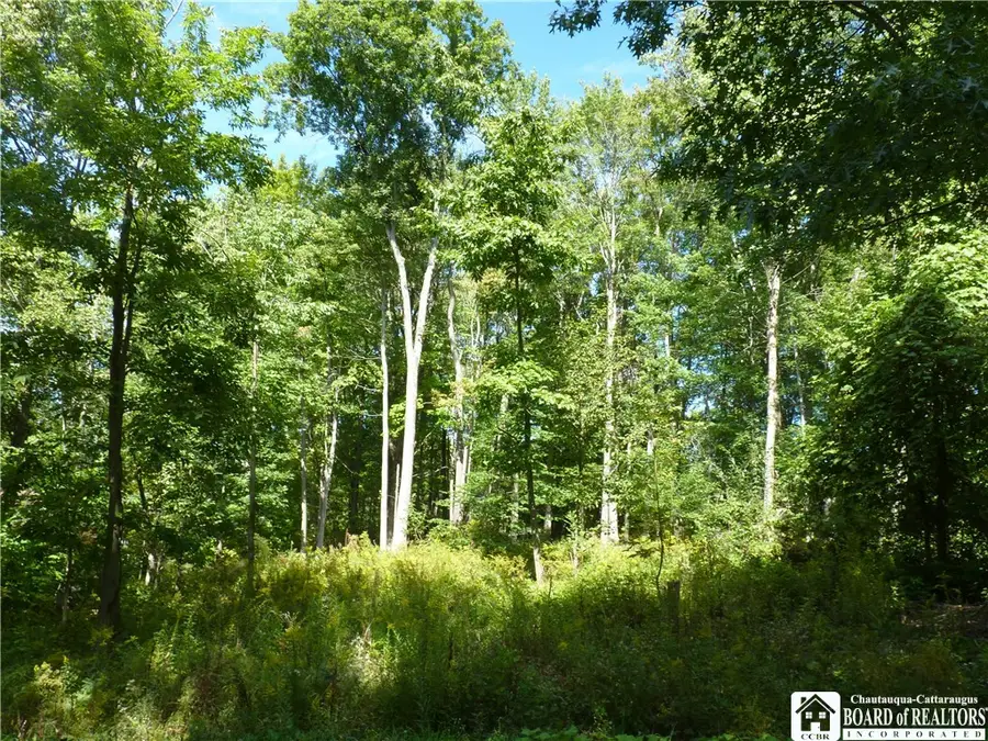 Scandia Drive N, Bemus Point, NY 14712 - #3