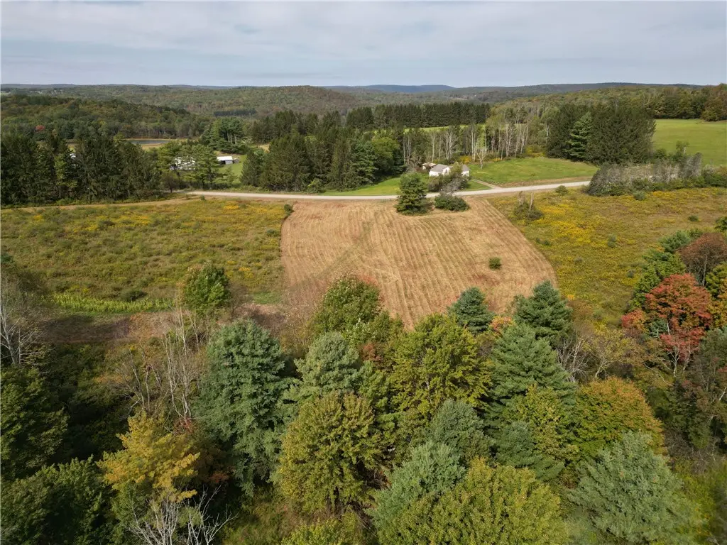 330 Tallow Hill Road, Spencer, NY 14883 - #1