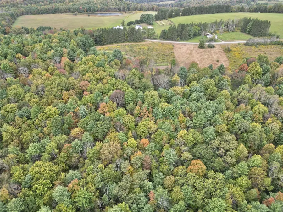 330 Tallow Hill Road, Spencer, NY 14883 - #2