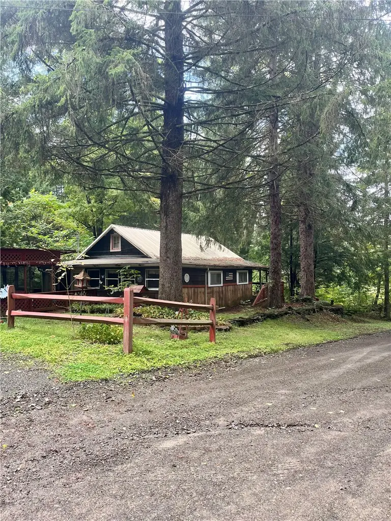18 Nixon Road, Lowman, NY 14861 - #1