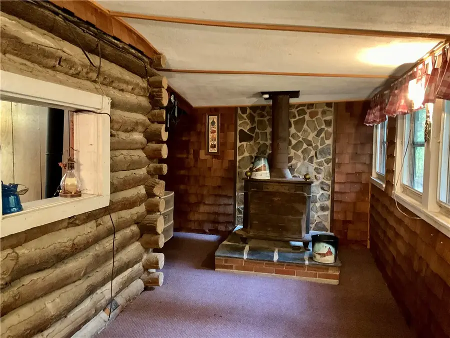 18 Nixon Road, Lowman, NY 14861 - #3