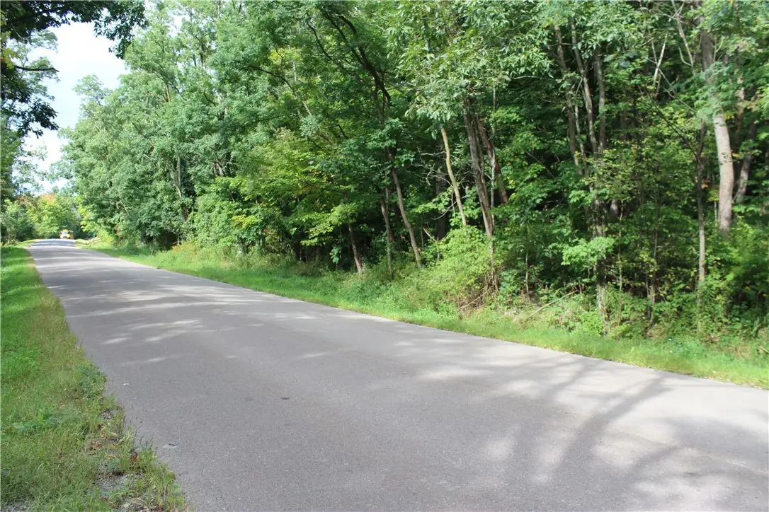 294 Jennings Road E, Veteran, NY 14864 - #1