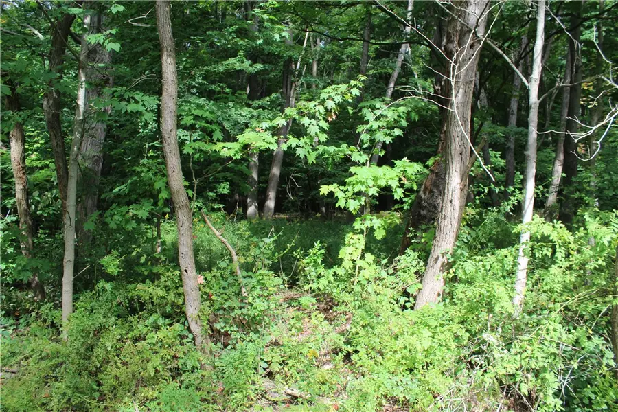 294 Jennings Road E, Veteran, NY 14864 - #2