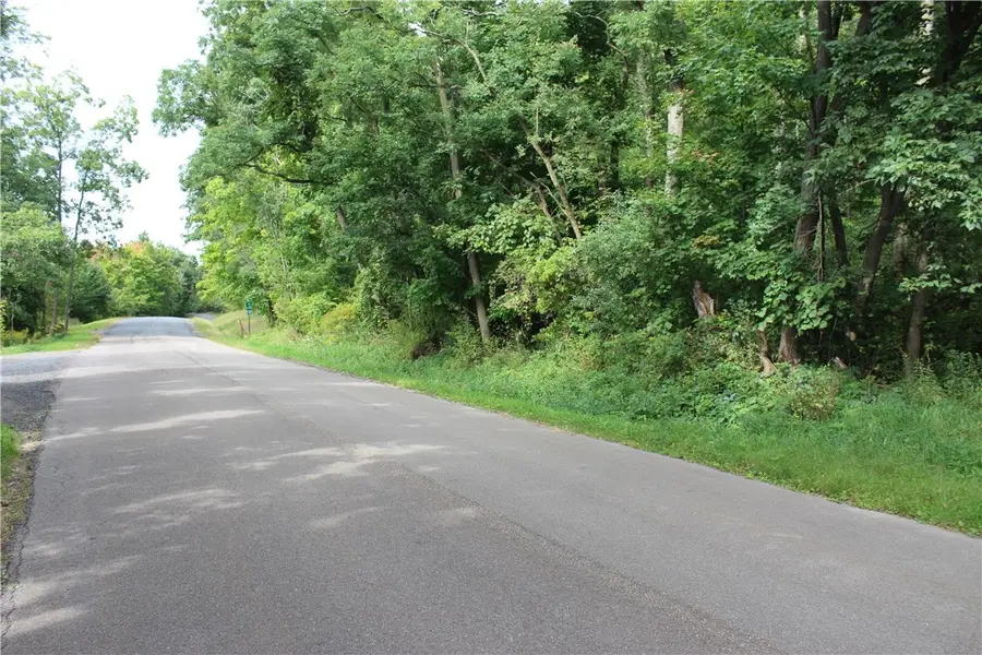 294 Jennings Road E, Veteran, NY 14864 - #3