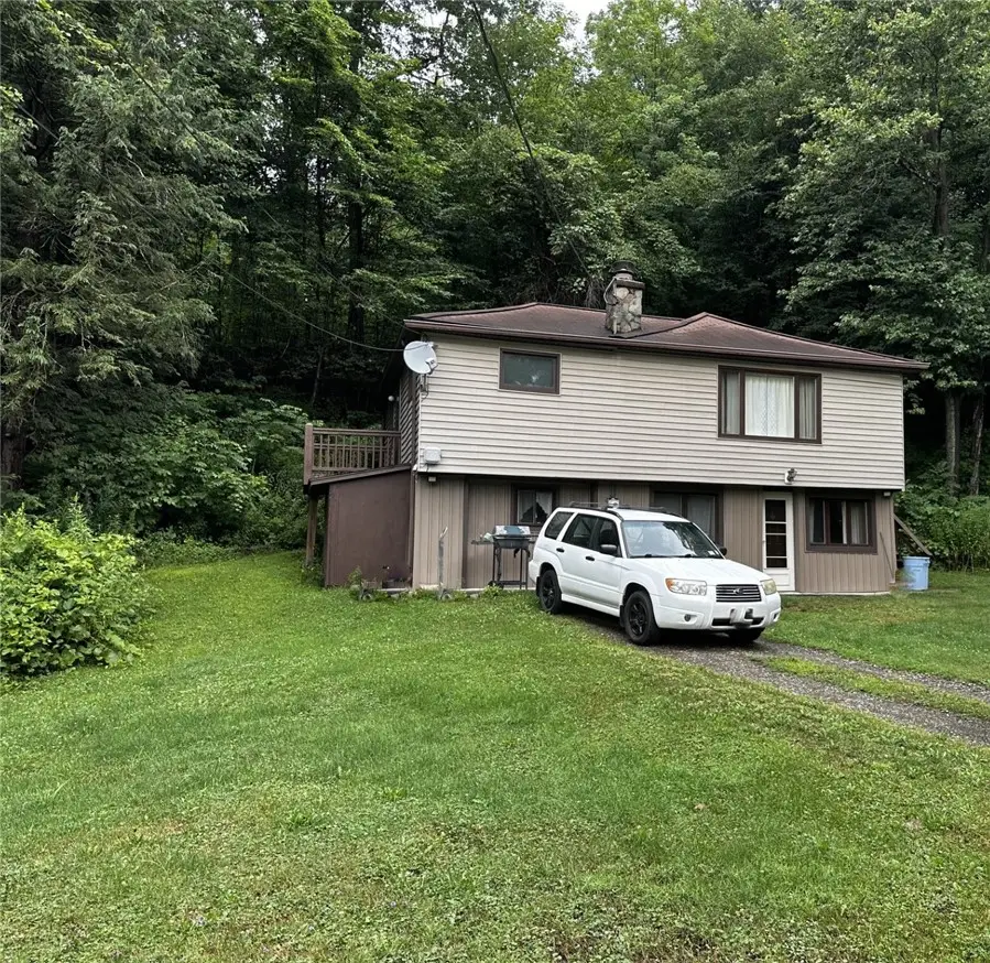 113 Foley Road, Kirkwood, NY 13795 - #2