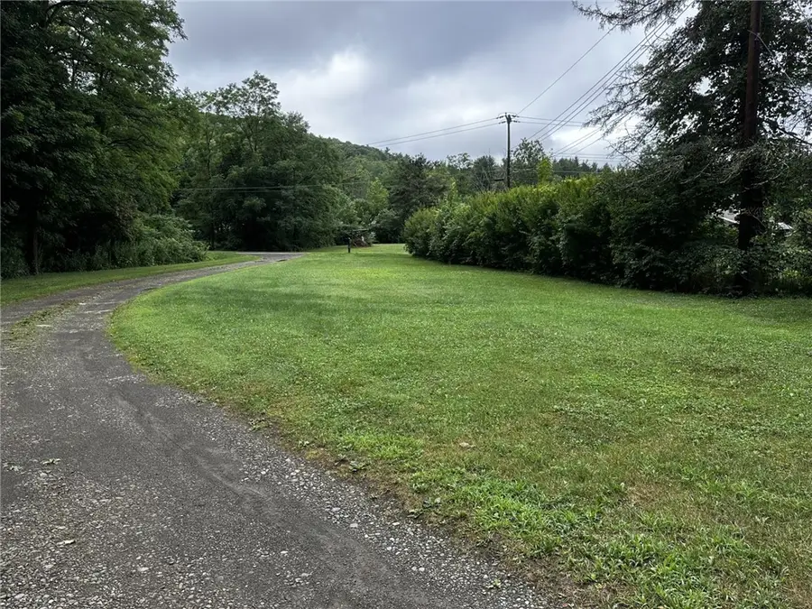 113 Foley Road, Kirkwood, NY 13795 - #3