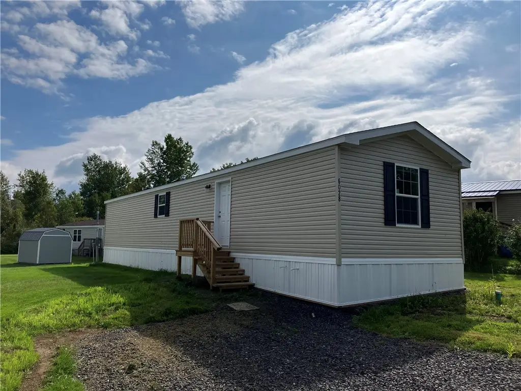 6028 Manley Drive, Red Creek, NY 13143 - #1