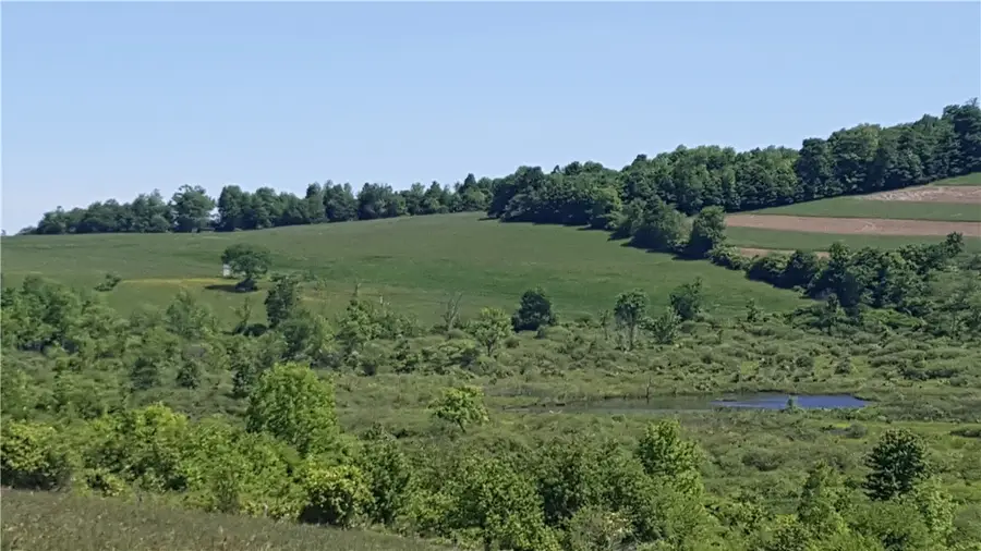 Stone Road, Cincinnatus, NY 13040 - #2