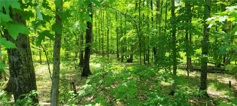 Hagerman Road, Chemung, NY 14825 - #2
