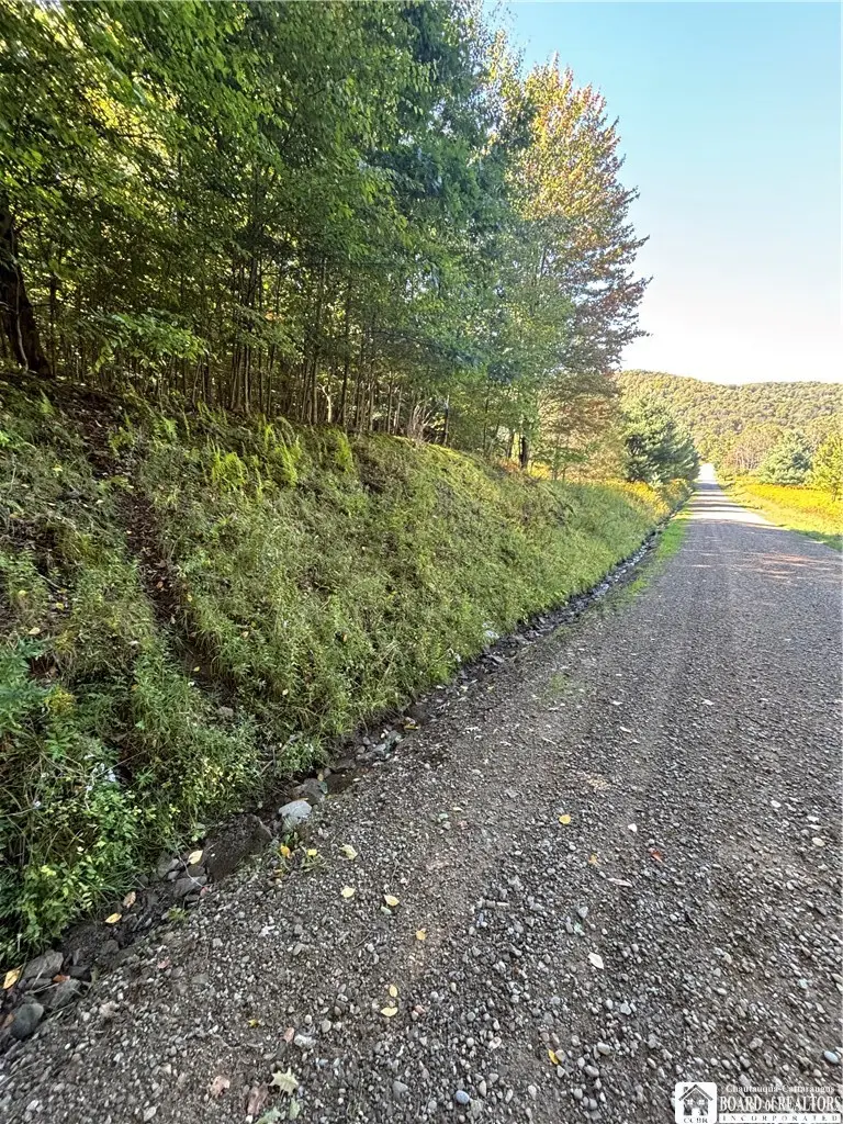 1235 Kansas Hollow Road, Bolivar, NY 14715 - #1