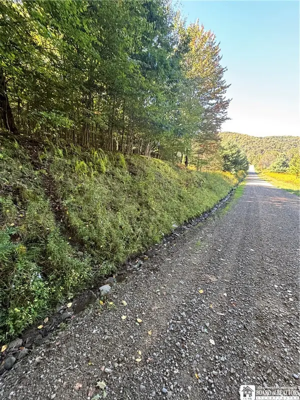 1235 Kansas Hollow Road, Bolivar, NY 14715