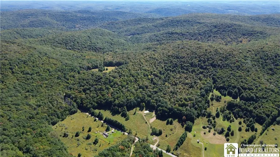 1235 Kansas Hollow Road, Bolivar, NY 14715 - #3