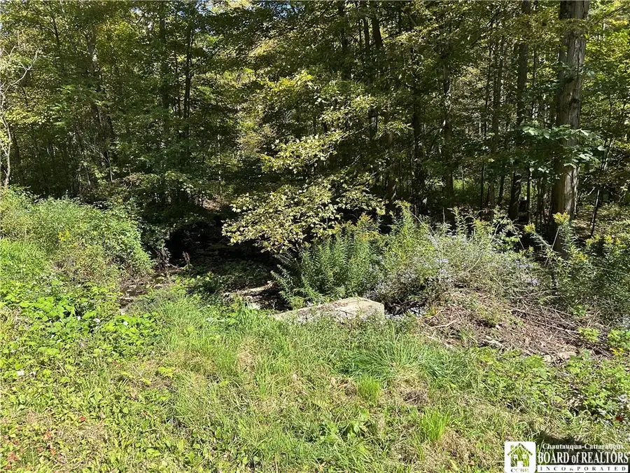 4094 Pierson Road, Cassadaga, NY 14718 - #3