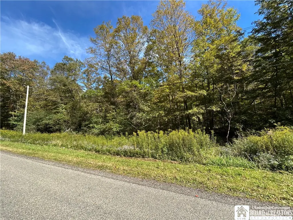 10613 Hanover Road, Forestville, NY 14062 - #1