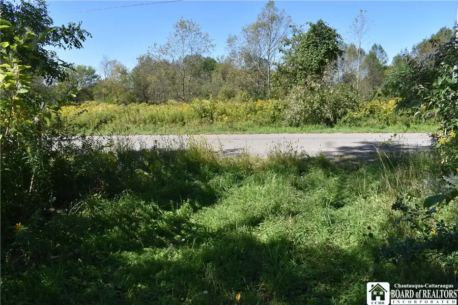 Round Top Road, Villenova, NY 14062 - #2