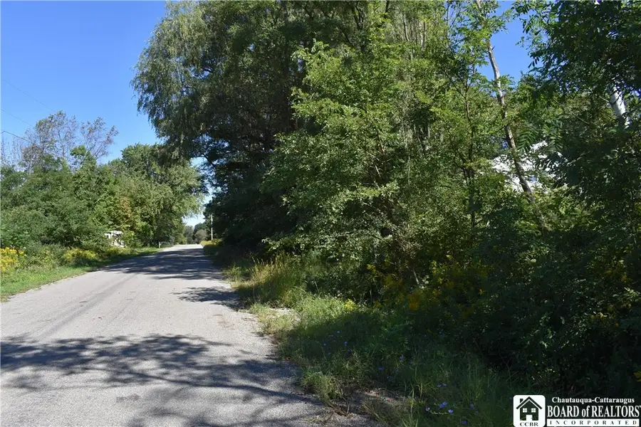 Round Top Road, Villenova, NY 14062 - #3