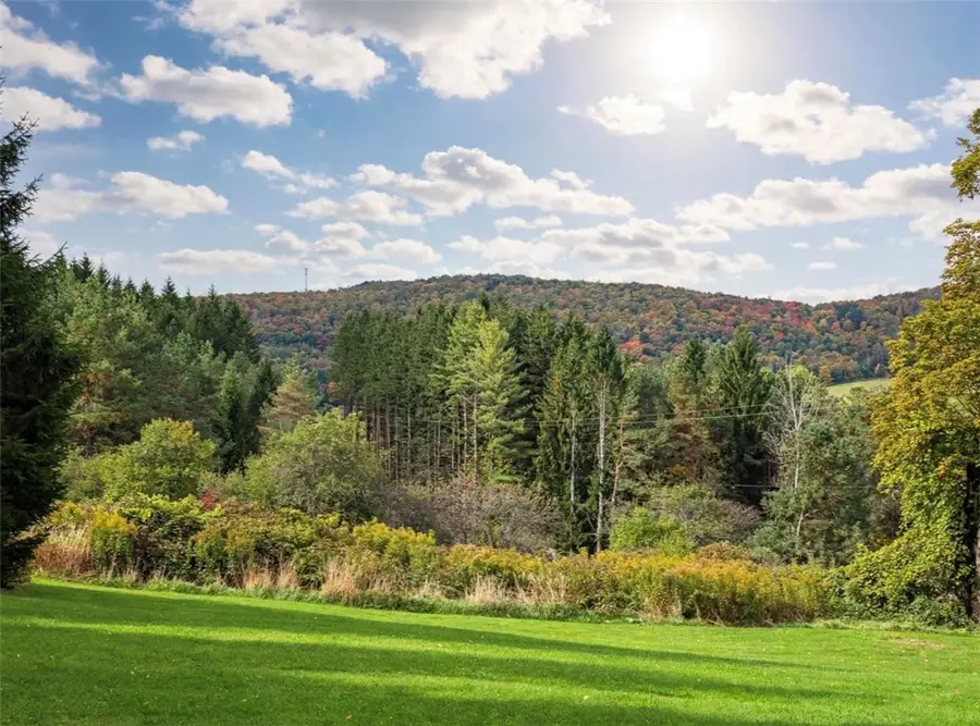188 Hopkins Crandall Road, Plymouth, NY 13832 - #2