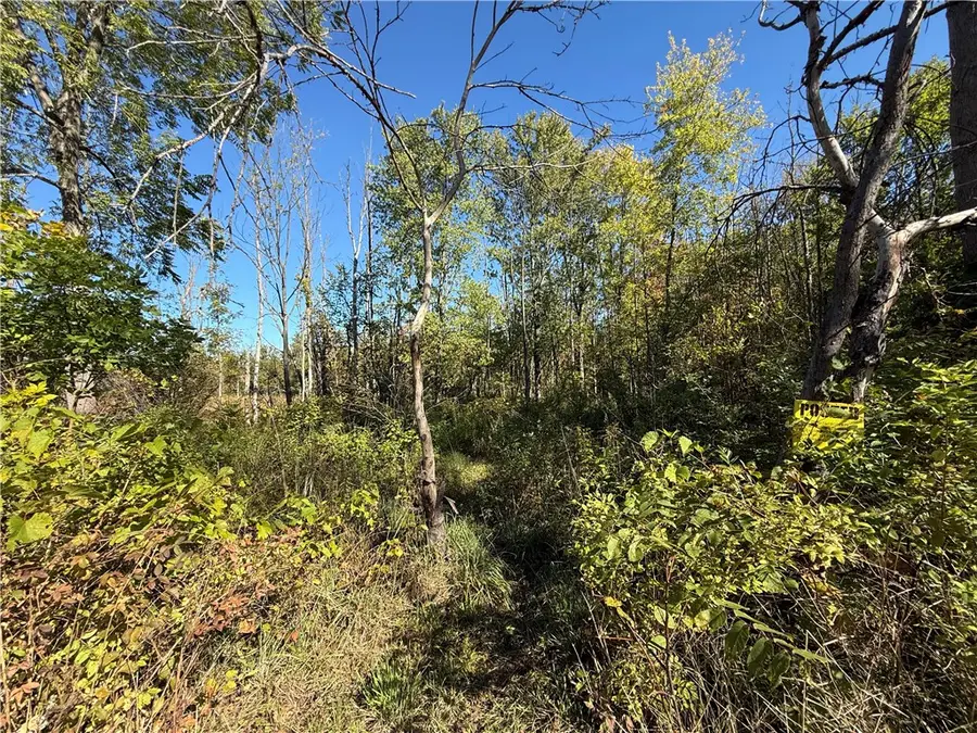 3570 W Walworth Road, Macedon, NY 14502 - #2