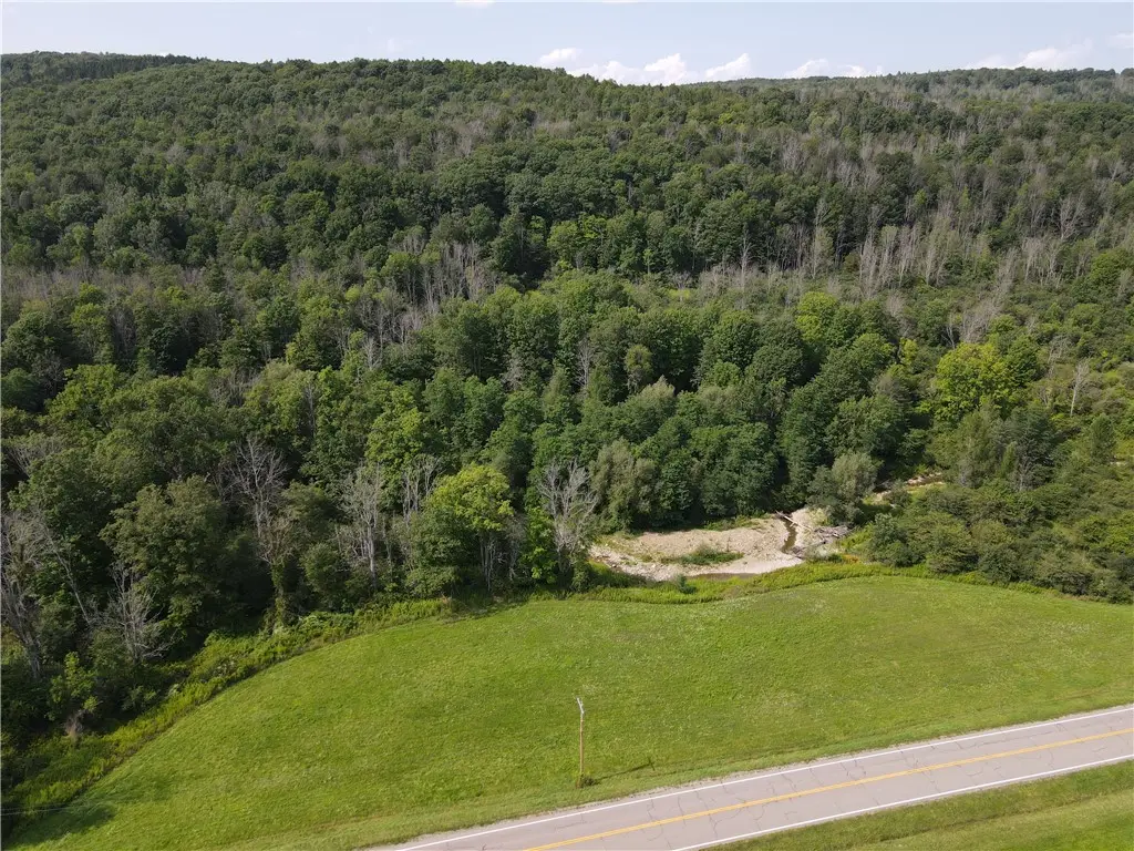 Lot 01 Mchenry Valley Road, Almond, NY 14804 - #1