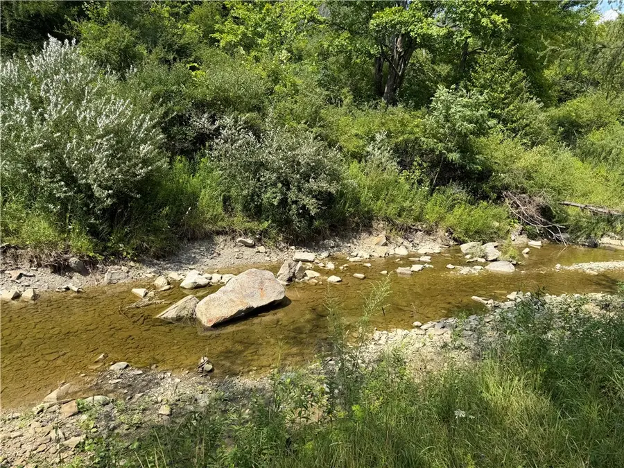 Lot 01 Mchenry Valley Road, Almond, NY 14804 - #2