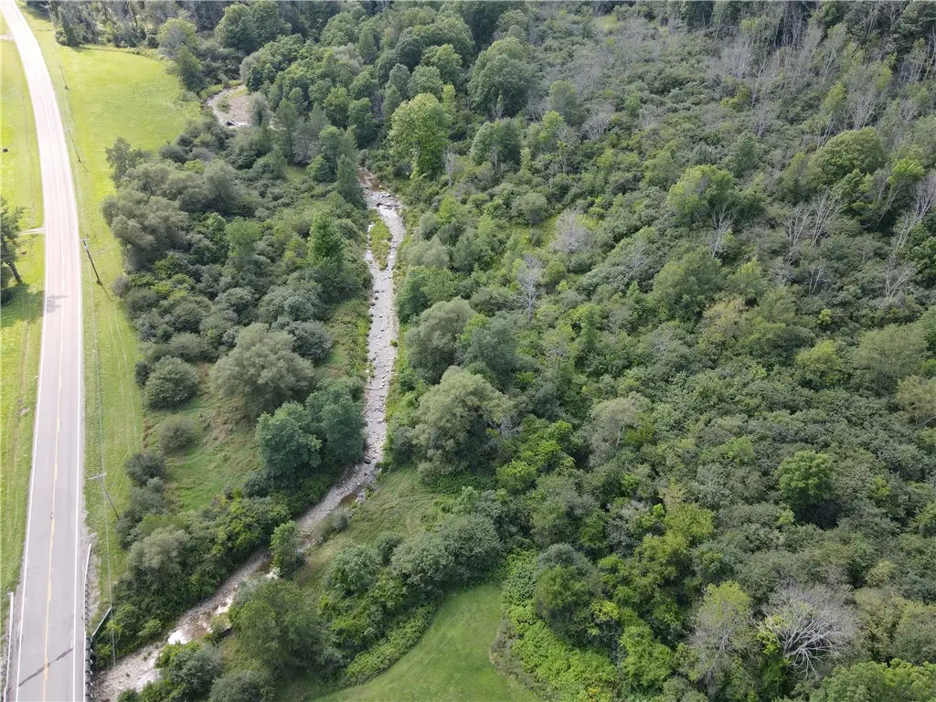 VL Lot 02 Mchenry Valley Road, Almond, NY 14804 - #1