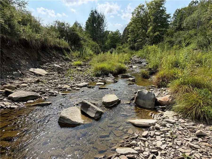 VL Lot 02 Mchenry Valley Road, Almond, NY 14804 - #2