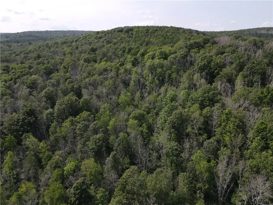VL Lot 02 Mchenry Valley Road, Almond, NY 14804 - #3
