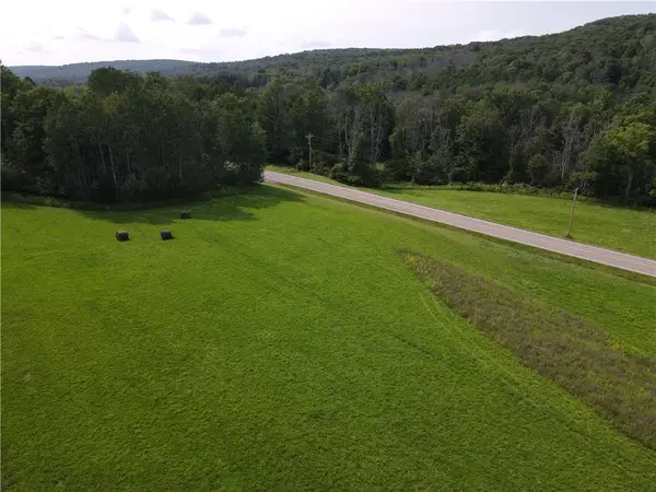 Lot 3 Mchenry Valley Road, Almond, NY 14804