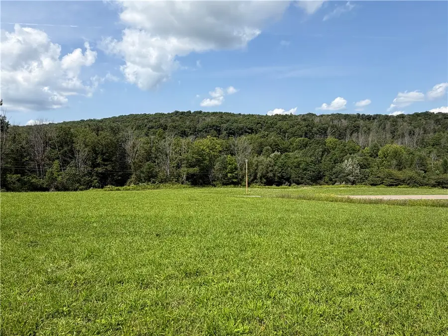 Lot 3 Mchenry Valley Road, Almond, NY 14804 - #2