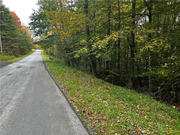 Mary Brown Hill Road, Laurens, NY 13796