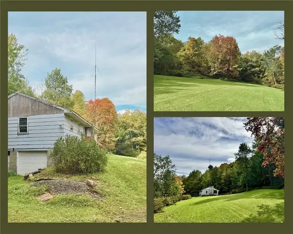 10338 State Highway 28, Meridale, NY 13806