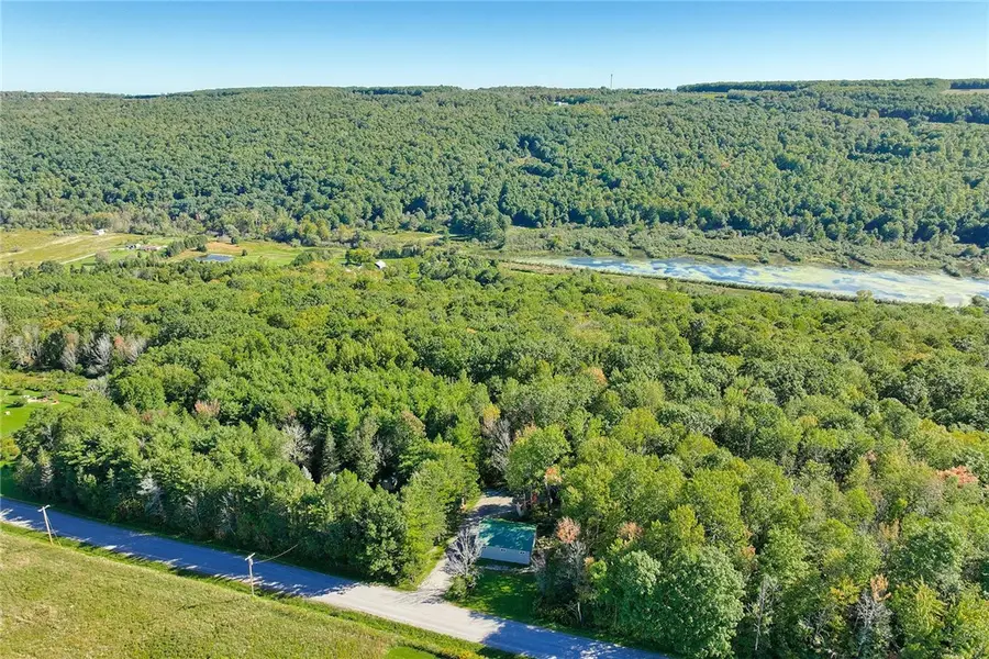 6993 Kelleman Road, Conesus, NY 14435 - #3