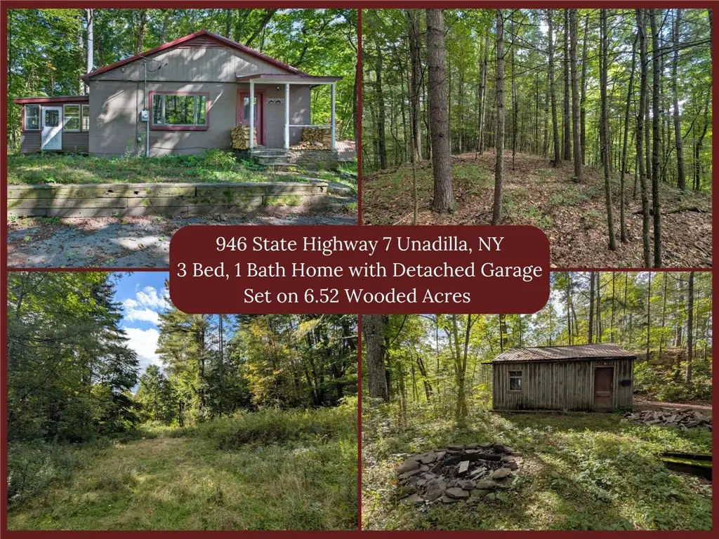946 State Highway 7, Unadilla, NY 13849 - #1